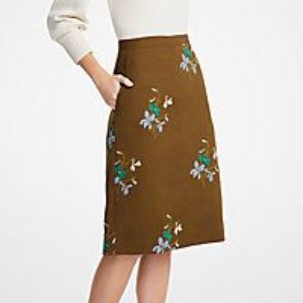 NWT Ann Taylor embroidered skirt with pockets,  4